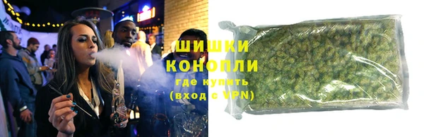 прущие грибы Алзамай