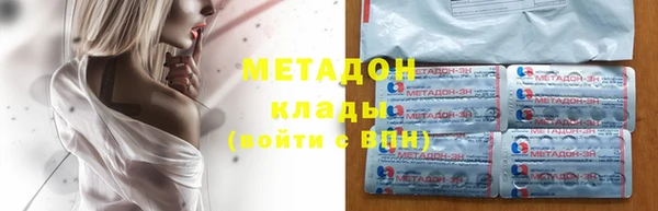 прущие грибы Алзамай