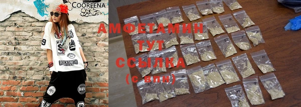 прущие грибы Алзамай