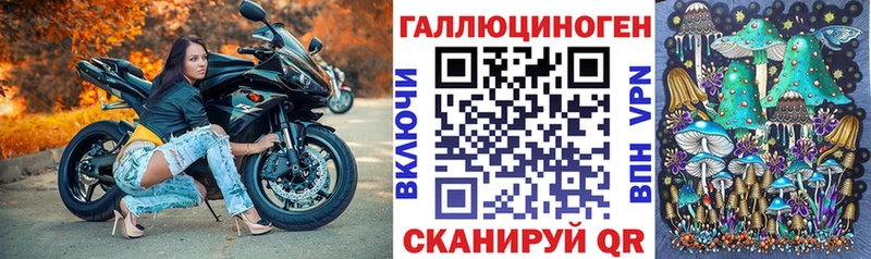 Галлюциногенные грибы прущие грибы  где найти   Лобня 