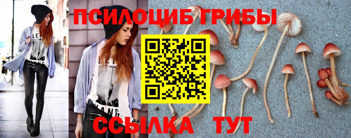 Галлюциногенные грибы MAGIC MUSHROOMS  Лобня  Псилоцибиновые грибы мицелий 
