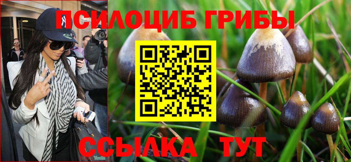 Псилоцибиновые грибы Magic Shrooms  Вход с VPN  Галлюциногенные грибы Magic Shrooms  продажа наркотиков  Лобня 